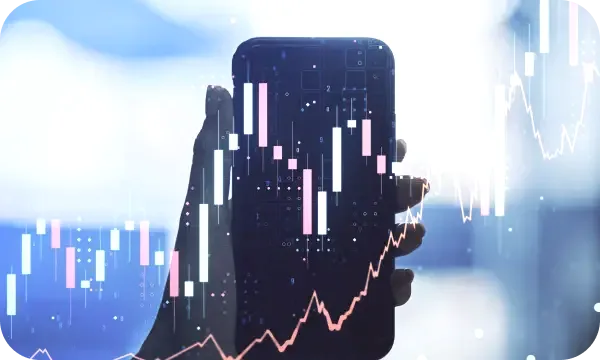 Wellingvale automated trading processes